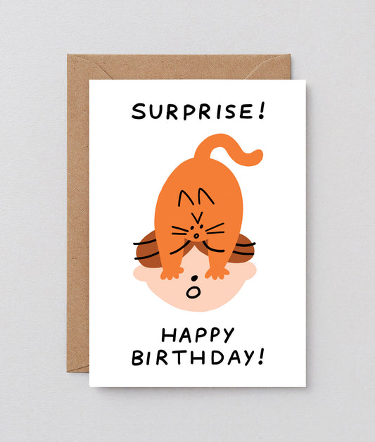 Surprise! Happy Birthday Cat