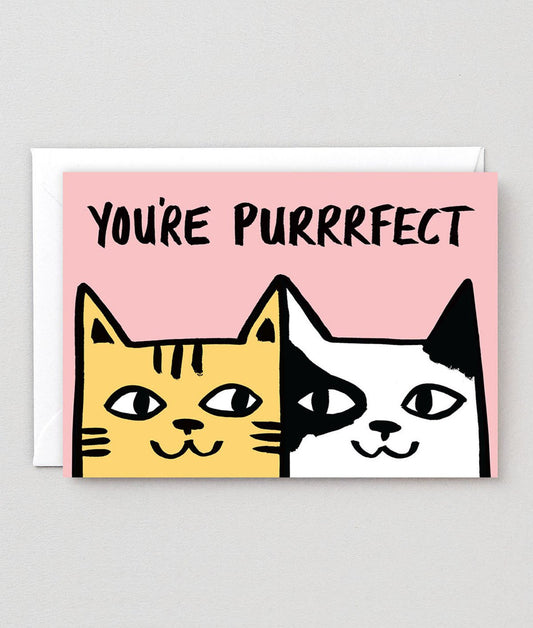 You're Purrrfect