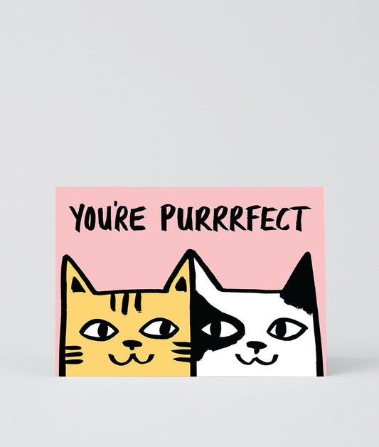 You're Purrrfect
