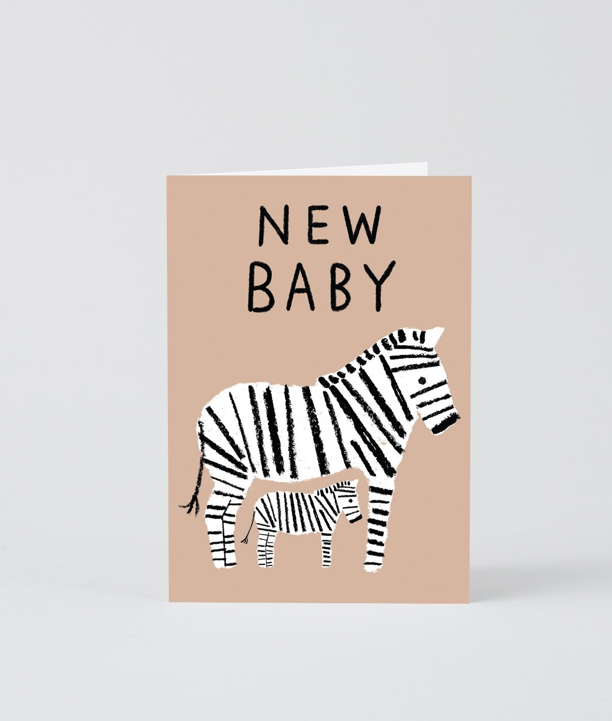 New Baby Zebras