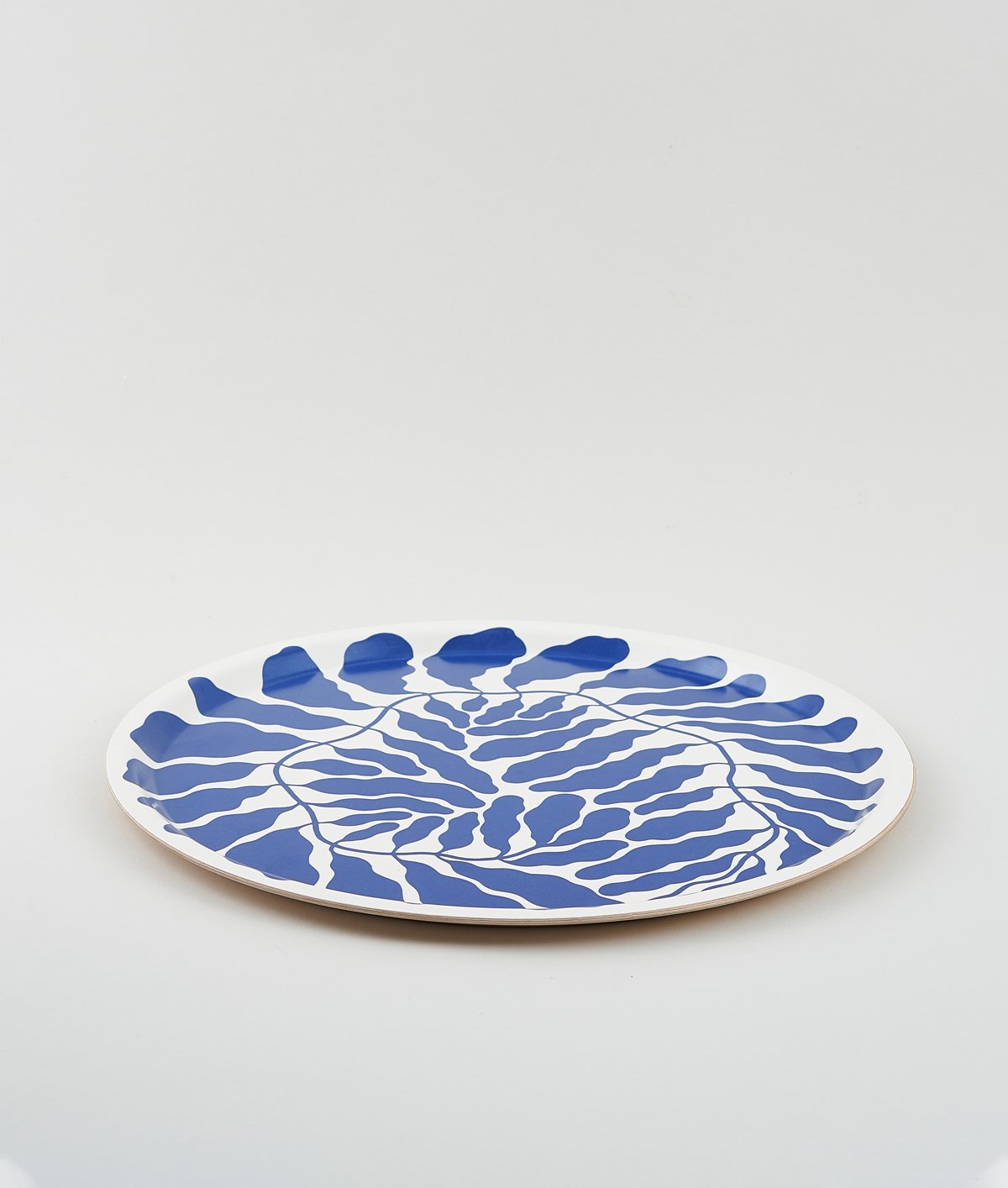 Blue Leaves Round Art Tray