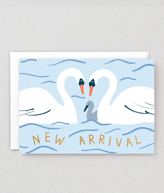 New Arrival Swans
